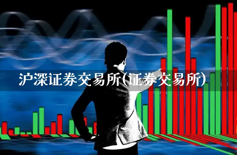 沪深证券交易所(证券交易所)_https://www.fzdzcxj.com_深交所_第1张