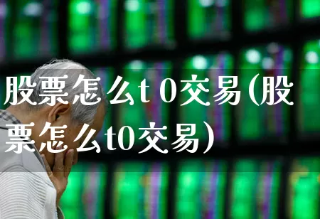 股票怎么t 0交易(股票怎么t0交易)_https://www.fzdzcxj.com_创业板_第1张