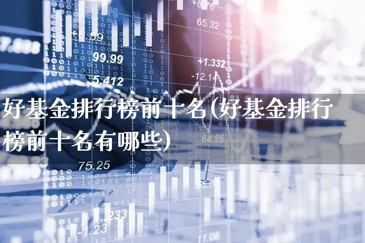 好基金排行榜前十名(好基金排行榜前十名有哪些)_https://www.fzdzcxj.com_科创板_第1张