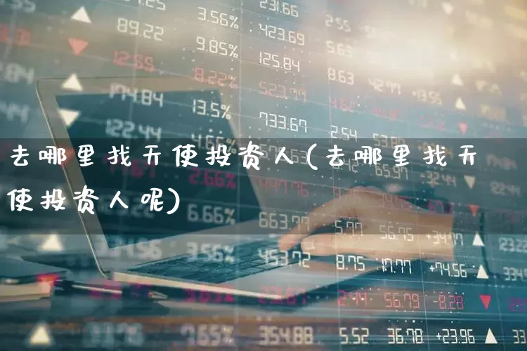 去哪里找天使投资人(去哪里找天使投资人呢)_https://www.fzdzcxj.com_科创板_第1张
