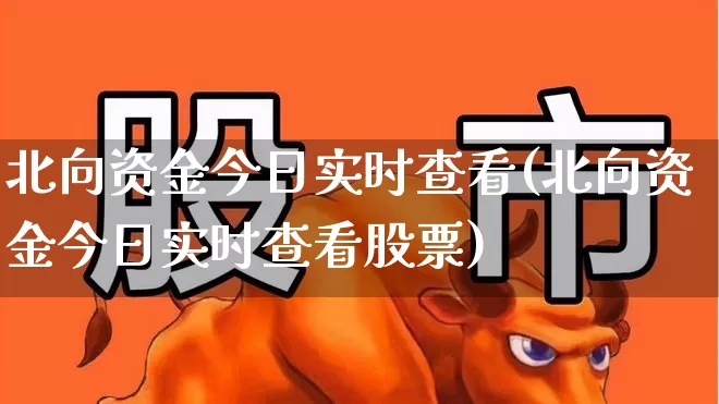 北向资金今日实时查看(北向资金今日实时查看股票)_https://www.fzdzcxj.com_科创板_第1张