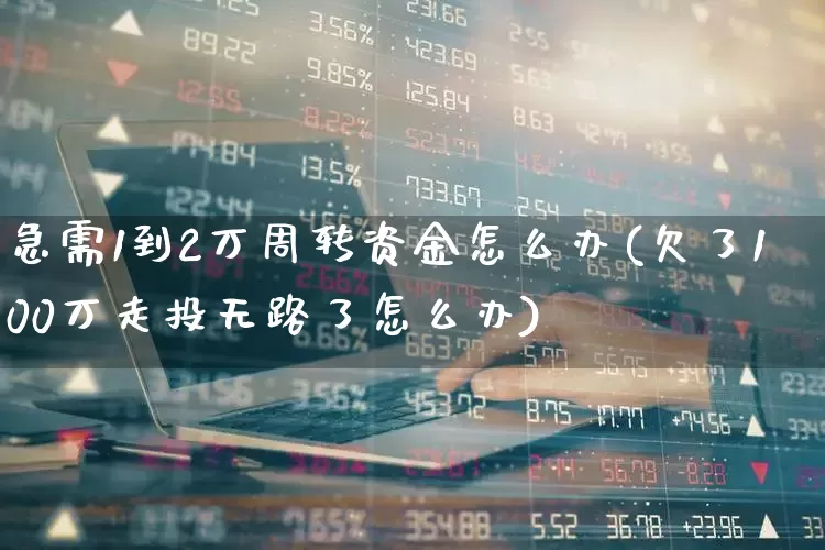 急需1到2万周转资金怎么办(欠了100万走投无路了怎么办)_https://www.fzdzcxj.com_北交所_第1张