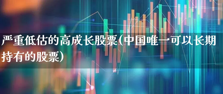 严重低估的高成长股票(中国唯一可以长期持有的股票)_https://www.fzdzcxj.com_深交所_第1张