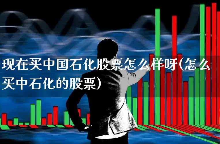 现在买中国石化股票怎么样呀(怎么买中石化的股票)_https://www.fzdzcxj.com_北交所_第1张
