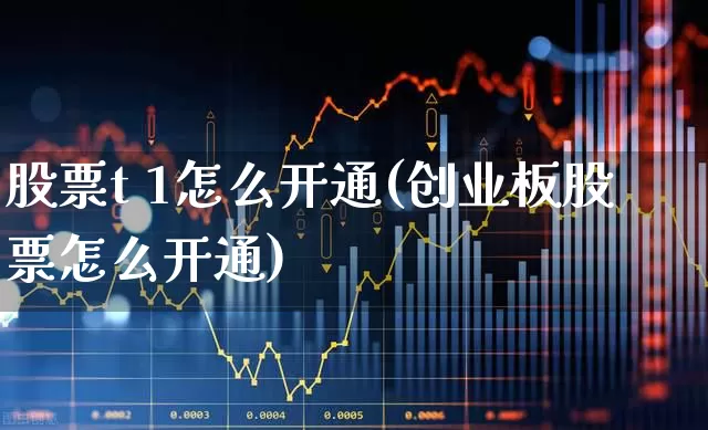 股票t 1怎么开通(创业板股票怎么开通)_https://www.fzdzcxj.com_北交所_第1张