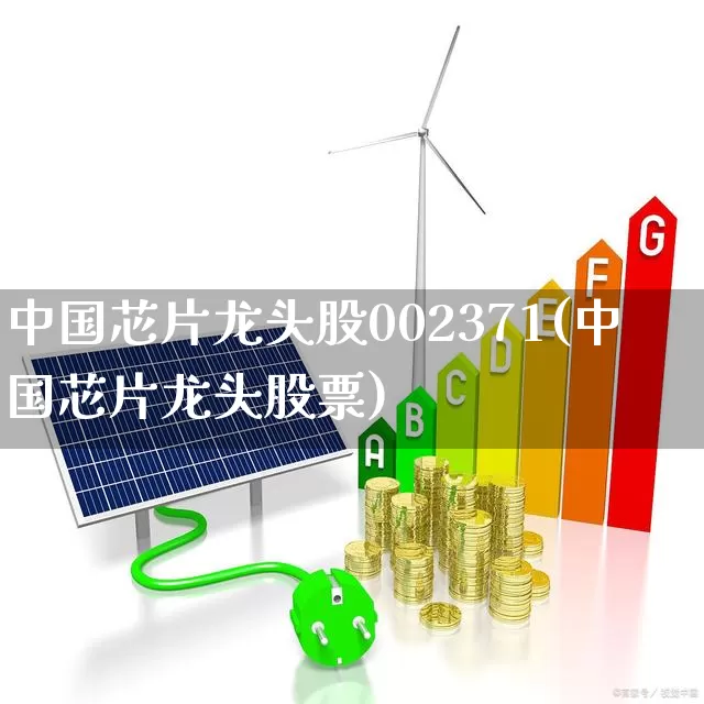 中国芯片龙头股002371(中国芯片龙头股票)_https://www.fzdzcxj.com_深交所_第1张
