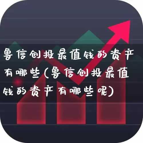 鲁信创投最值钱的资产有哪些(鲁信创投最值钱的资产有哪些呢)_https://www.fzdzcxj.com_北交所_第1张