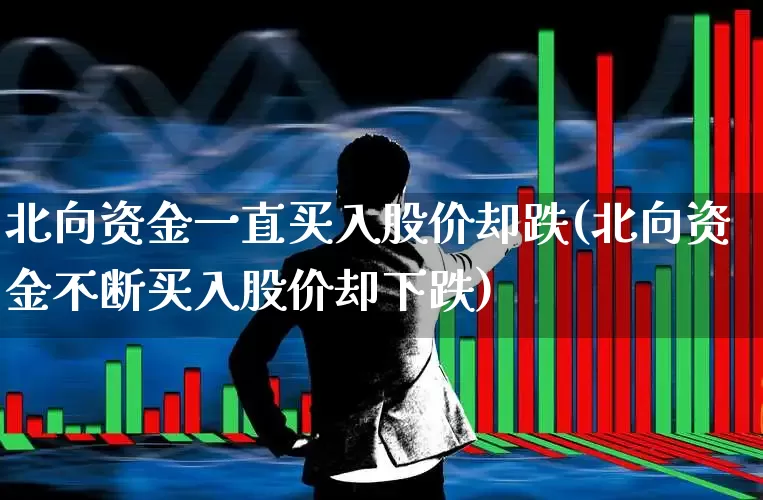 北向资金一直买入股价却跌(北向资金不断买入股价却下跌)_https://www.fzdzcxj.com_北交所_第1张