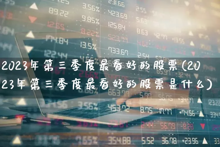 2023年第三季度最看好的股票(2023年第三季度最看好的股票是什么)_https://www.fzdzcxj.com_科创板_第1张