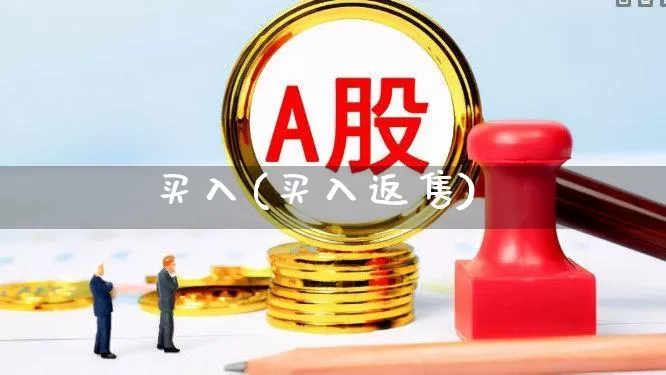 买入(买入返售)_https://www.fzdzcxj.com_北交所_第1张
