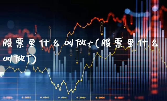 股票里什么叫做t(股票里什么叫做T)_https://www.fzdzcxj.com_深交所_第1张