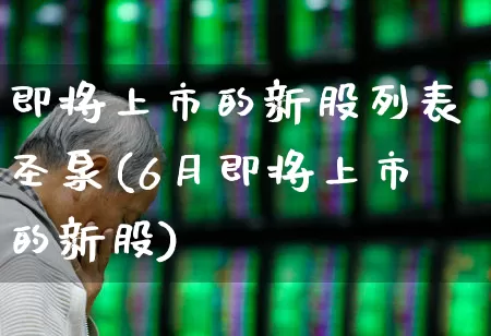 即将上市的新股列表圣泉(6月即将上市的新股)_https://www.fzdzcxj.com_上交所_第1张