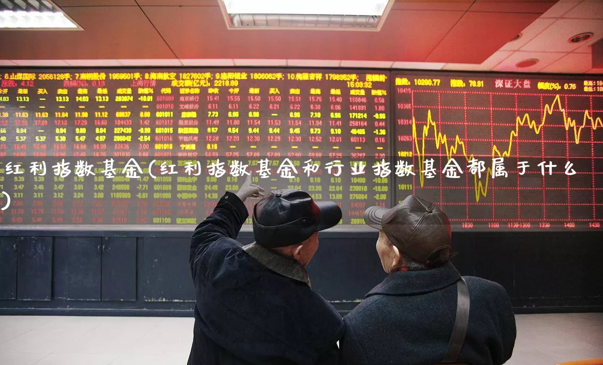 红利指数基金(红利指数基金和行业指数基金都属于什么)_https://www.fzdzcxj.com_深交所_第1张