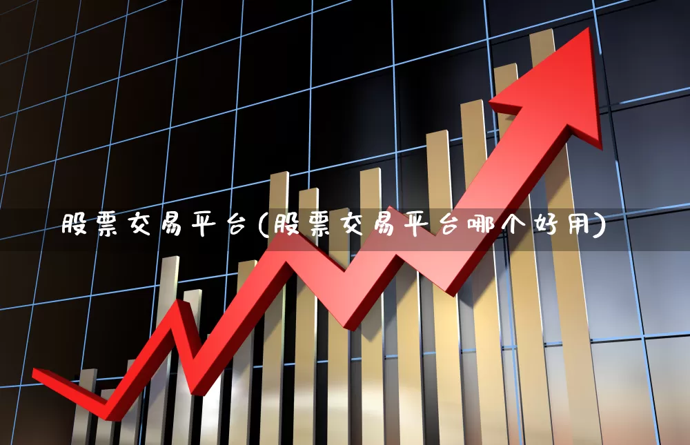 股票交易平台(股票交易平台哪个好用)_https://www.fzdzcxj.com_科创板_第1张