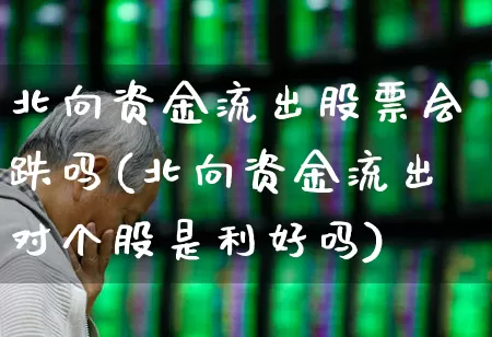 北向资金流出股票会跌吗(北向资金流出对个股是利好吗)_https://www.fzdzcxj.com_深交所_第1张