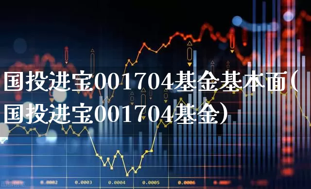国投进宝001704基金基本面(国投进宝001704基金)_https://www.fzdzcxj.com_北交所_第1张