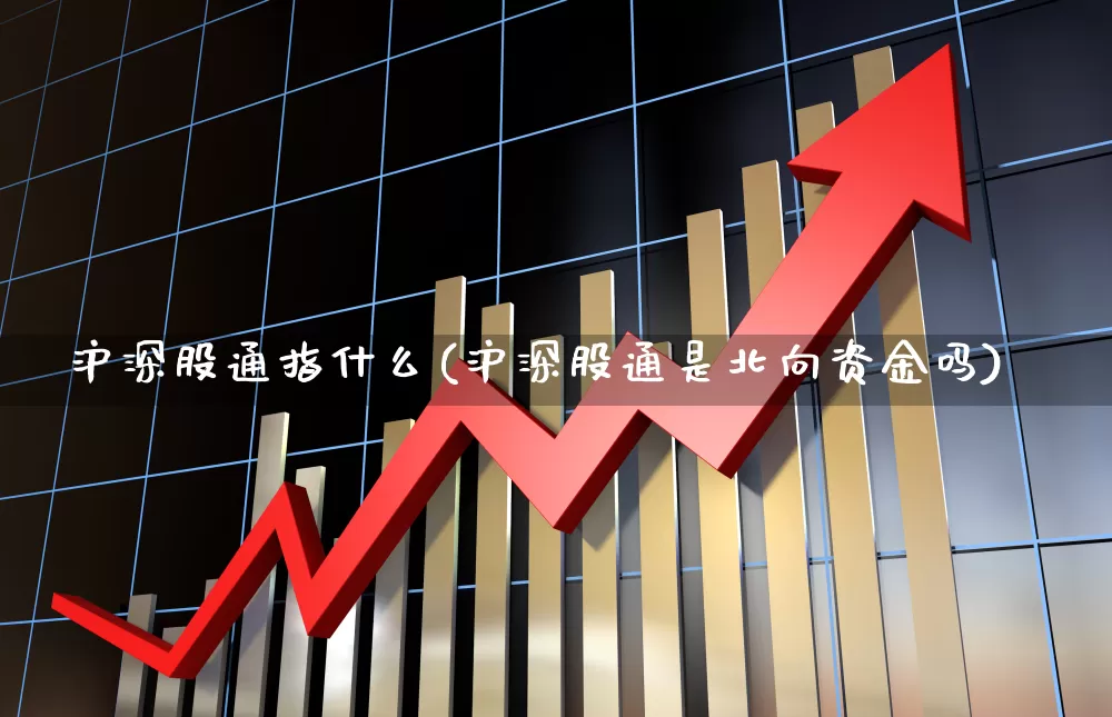 沪深股通指什么(沪深股通是北向资金吗)_https://www.fzdzcxj.com_科创板_第1张