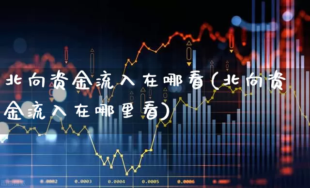 北向资金流入在哪看(北向资金流入在哪里看)_https://www.fzdzcxj.com_北交所_第1张