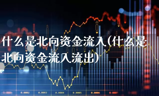 什么是北向资金流入(什么是北向资金流入流出)_https://www.fzdzcxj.com_科创板_第1张