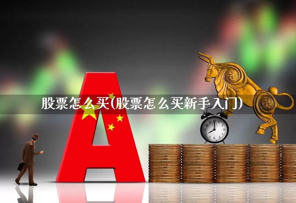 股票怎么买(股票怎么买新手入门)_https://www.fzdzcxj.com_创业板_第1张