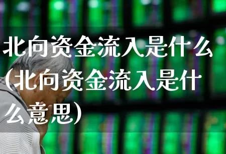 北向资金流入是什么(北向资金流入是什么意思)_https://www.fzdzcxj.com_创业板_第1张