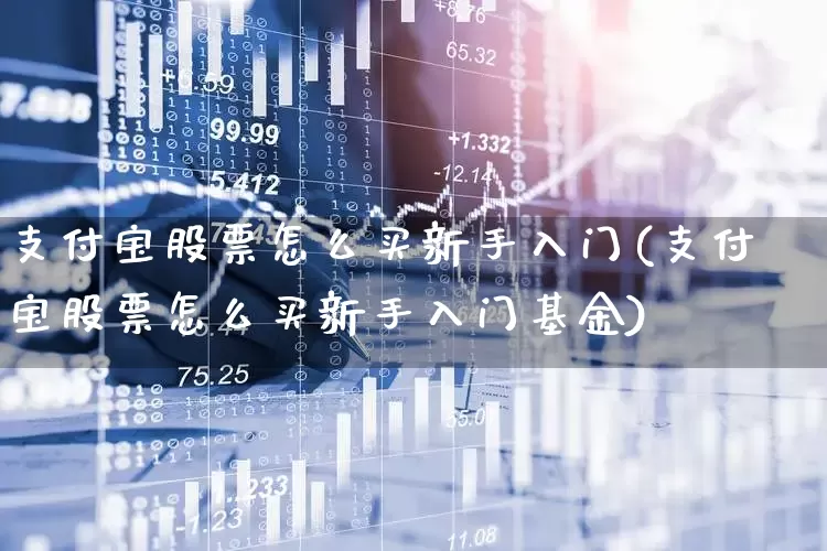 支付宝股票怎么买新手入门(支付宝股票怎么买新手入门基金)_https://www.fzdzcxj.com_深交所_第1张