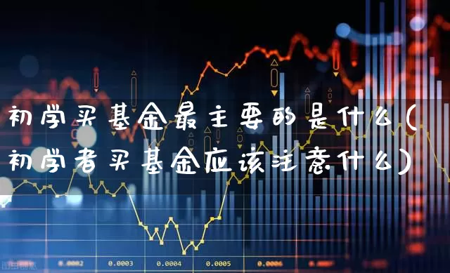 初学买基金最主要的是什么(初学者买基金应该注意什么)_https://www.fzdzcxj.com_深交所_第1张