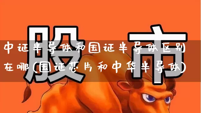 中证半导体和国证半导体区别在哪(国证芯片和中华半导体)_https://www.fzdzcxj.com_北交所_第1张