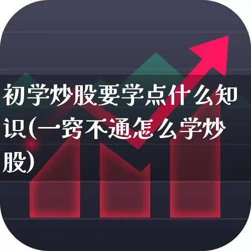 初学炒股要学点什么知识(一窍不通怎么学炒股)_https://www.fzdzcxj.com_创业板_第1张