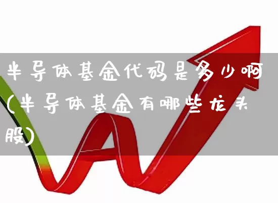 半导体基金代码是多少啊(半导体基金有哪些龙头股)_https://www.fzdzcxj.com_科创板_第1张