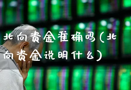 北向资金准确吗(北向资金说明什么)_https://www.fzdzcxj.com_北交所_第1张