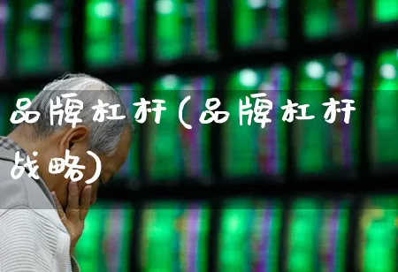 品牌杠杆(品牌杠杆战略)_https://www.fzdzcxj.com_深交所_第1张