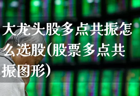 大龙头股多点共振怎么选股(股票多点共振图形)_https://www.fzdzcxj.com_科创板_第1张