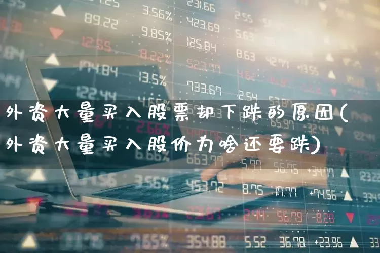 外资大量买入股票却下跌的原因(外资大量买入股价为啥还要跌)_https://www.fzdzcxj.com_科创板_第1张