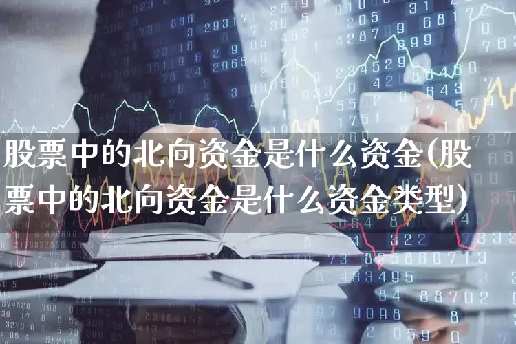 股票中的北向资金是什么资金(股票中的北向资金是什么资金类型)_https://www.fzdzcxj.com_北交所_第1张