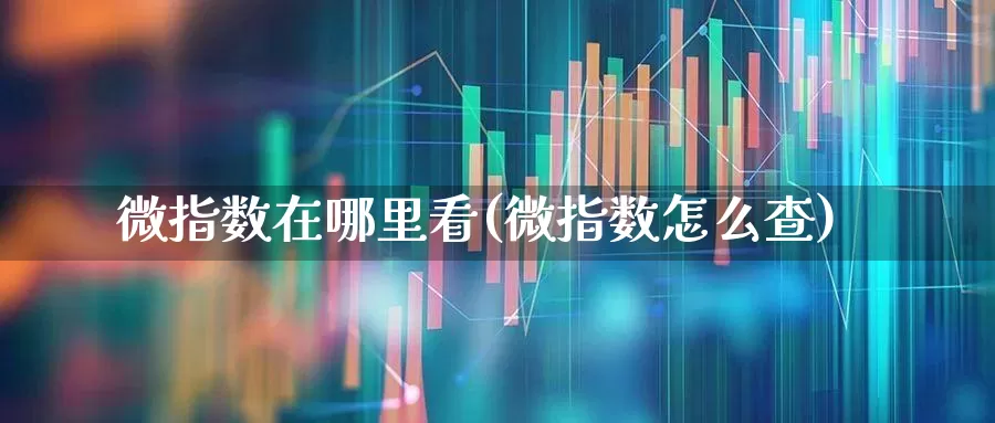 微指数在哪里看(微指数怎么查)_https://www.fzdzcxj.com_北交所_第1张