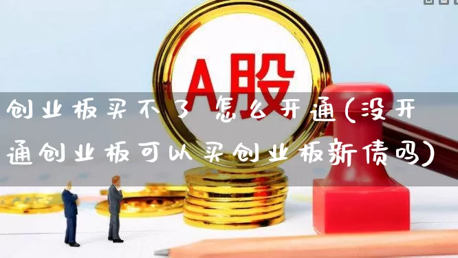 创业板买不了 怎么开通(没开通创业板可以买创业板新债吗)_https://www.fzdzcxj.com_北交所_第1张