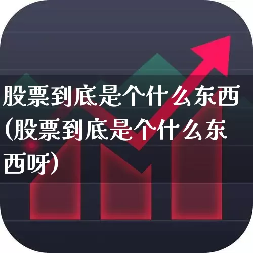 股票到底是个什么东西(股票到底是个什么东西呀)_https://www.fzdzcxj.com_深交所_第1张