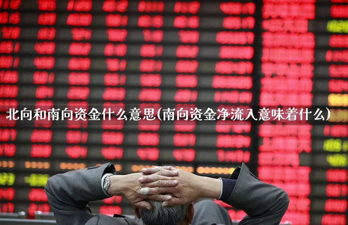 北向和南向资金什么意思(南向资金净流入意味着什么)_https://www.fzdzcxj.com_科创板_第1张