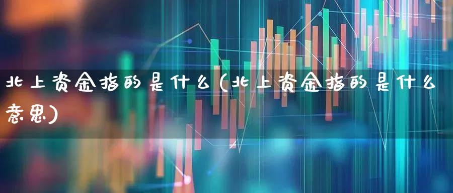 北上资金指的是什么(北上资金指的是什么意思)_https://www.fzdzcxj.com_上交所_第1张