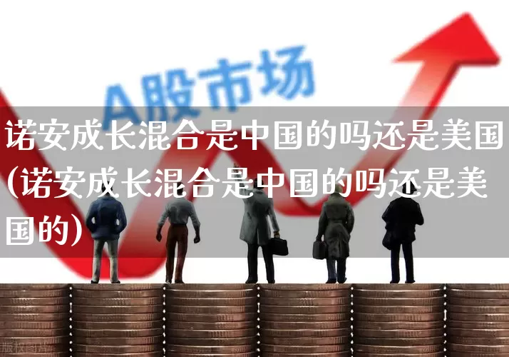 诺安成长混合是中国的吗还是美国(诺安成长混合是中国的吗还是美国的)_https://www.fzdzcxj.com_北交所_第1张