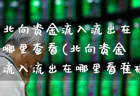 北向资金流入流出在哪里查看(北向资金流入流出在哪里看准确)_https://www.fzdzcxj.com_科创板_第1张