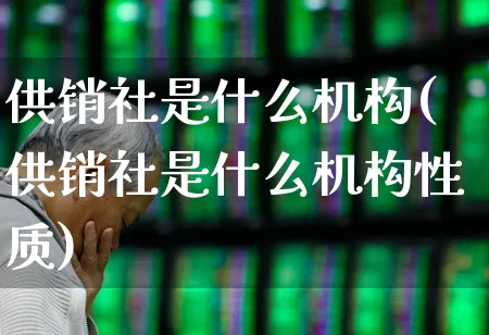 供销社是什么机构(供销社是什么机构性质)_https://www.fzdzcxj.com_北交所_第1张