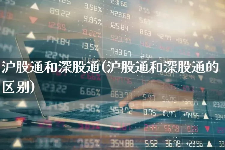 沪股通和深股通(沪股通和深股通的区别)_https://www.fzdzcxj.com_北交所_第1张