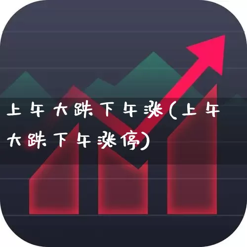 上午大跌下午涨(上午大跌下午涨停)_https://www.fzdzcxj.com_上交所_第1张
