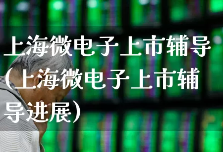 上海微电子上市辅导(上海微电子上市辅导进展)_https://www.fzdzcxj.com_科创板_第1张