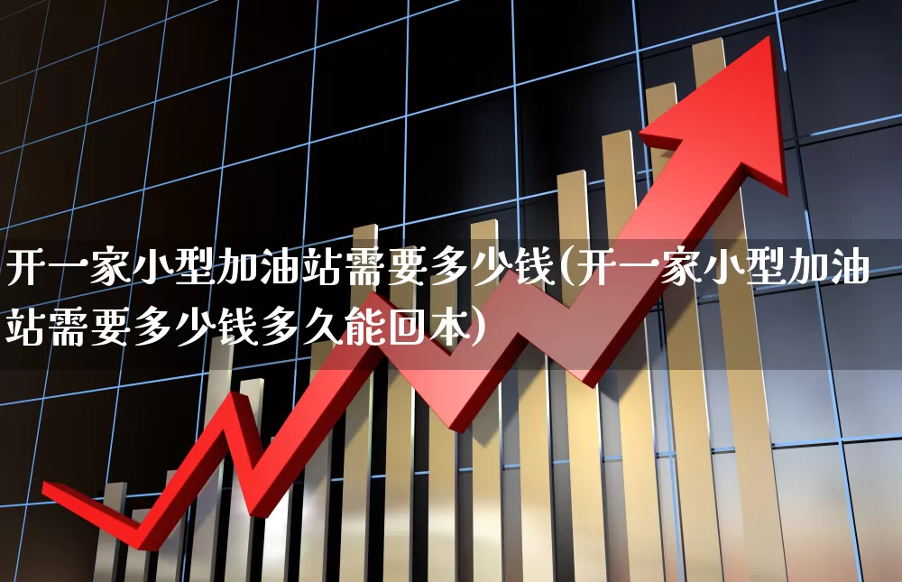 开一家小型加油站需要多少钱(开一家小型加油站需要多少钱多久能回本)_https://www.fzdzcxj.com_创业板_第1张