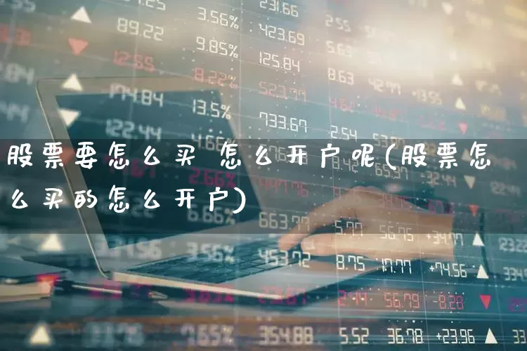 股票要怎么买 怎么开户呢(股票怎么买的怎么开户)_https://www.fzdzcxj.com_深交所_第1张