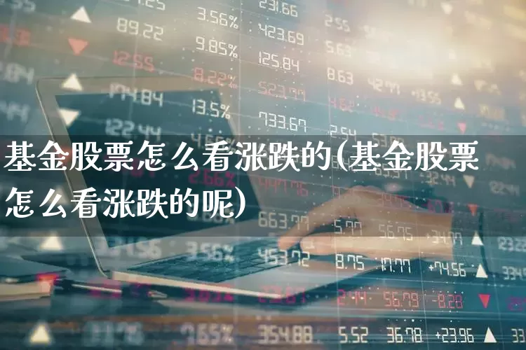 基金股票怎么看涨跌的(基金股票怎么看涨跌的呢)_https://www.fzdzcxj.com_上交所_第1张