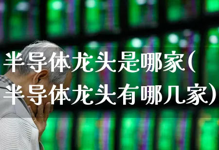 半导体龙头是哪家(半导体龙头有哪几家)_https://www.fzdzcxj.com_科创板_第1张
